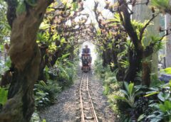 Jelajahi SQP Park di Gading Serpong, Hutan Kota dan Satwa Menarik Dalam Satu Wilayah