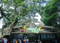Kemenhut Akan Bertanggung Jawab atas Perawatan Satwa di Kebun Binatang Bandung