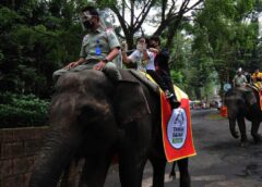Atraksi Gajah Tunggang Dilarang di Seluruh Wilayah Indonesia