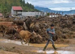 Mahasiswa Kepolisian Kirim 70 Sapi untuk Korban Banjir Aceh Pasca Prabowo