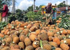 Buah Ini Banyak Dijual di Jalan dan Ternyata Penangkal Asam Urat