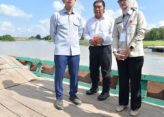 Naik Perahu Klotok, Gibran Cek Proyek Jembatan Way Bungur di Lampung